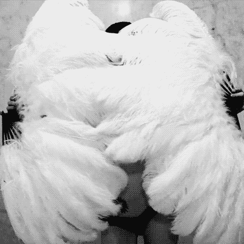 I'm a loner Dottie..