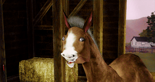 amy-face:  yusaburu:  cockwagons:  i mayd a hoers  AT LAST, THE PERFECT HORSE FOR