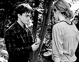 vasymollo:  Harry and Hermione | Harry Potter and the Deathly Hallows 