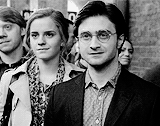 vasymollo:  Harry and Hermione | Harry Potter and the Deathly Hallows 