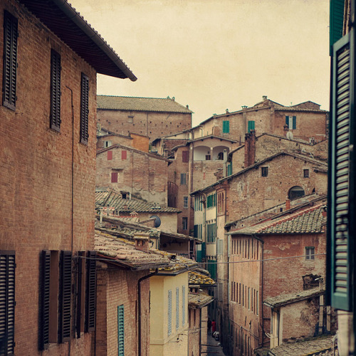 travelingcolors: Siena | Italy - untitled (by IrenaS) (via mentalfornication)