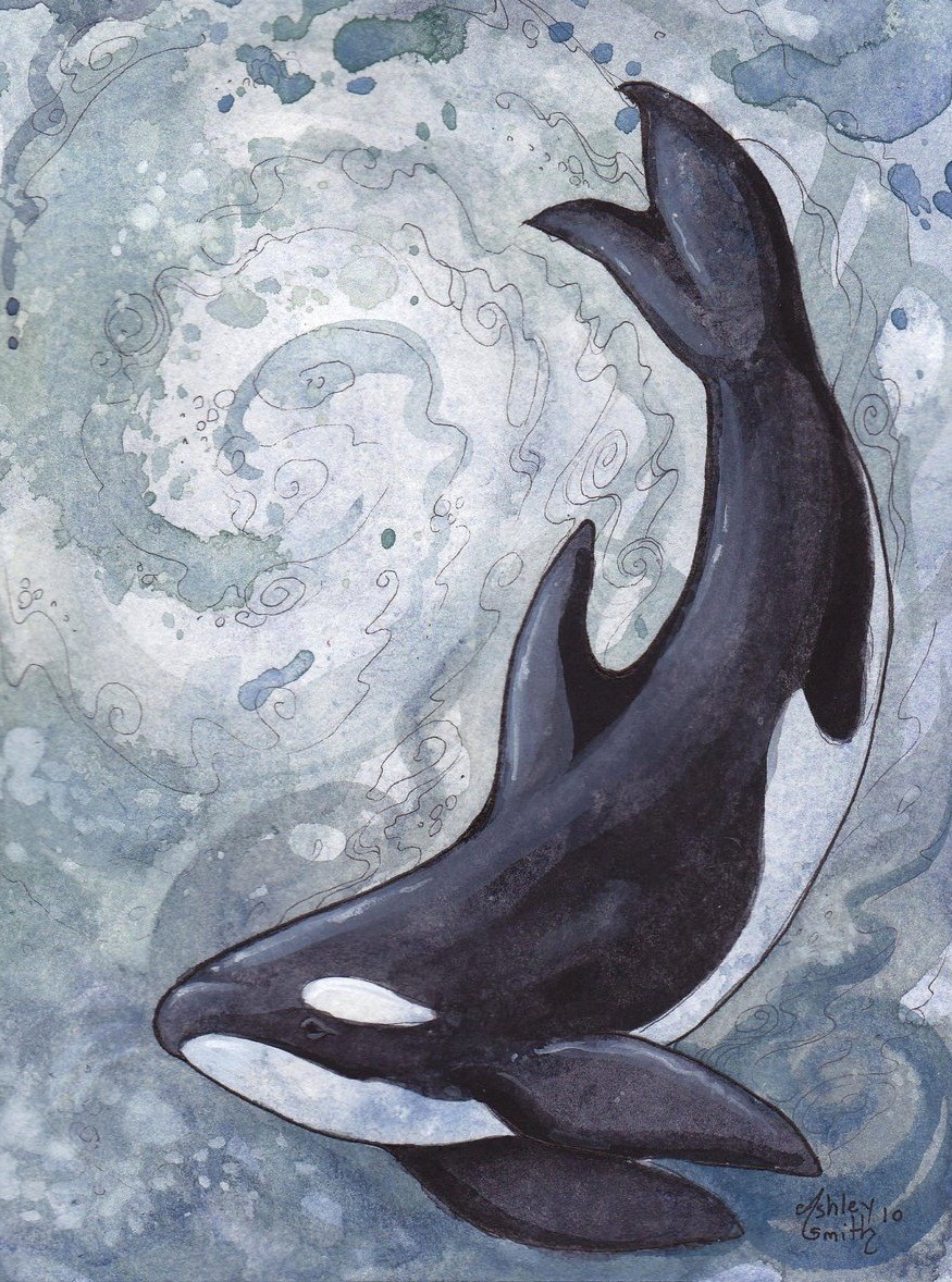 bookspaperscissors:  Ashley Smith 