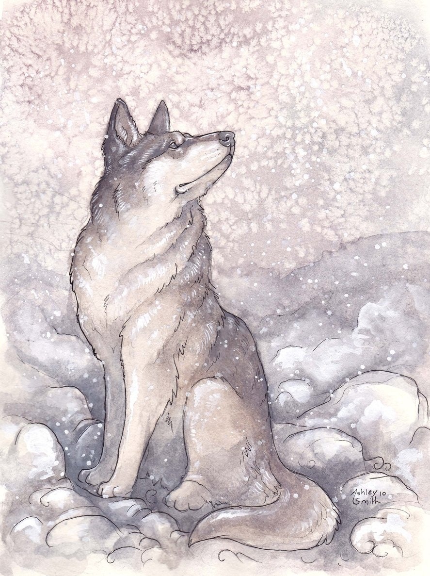 bookspaperscissors:  Ashley Smith 