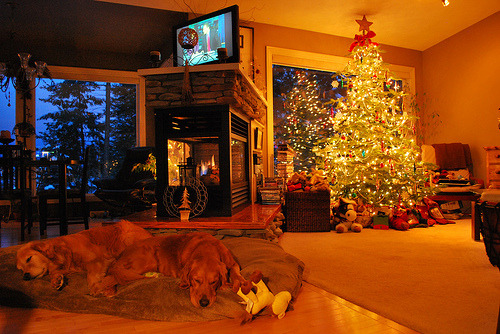 mylifewithsocialanxiety:  Can I live there, please?