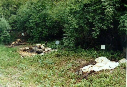 forensicpathology:  A body farm is a research facility where human  decomposition  can be studied in a variety of settings. The aim is to  gain a better  understanding of the decomposition process, permitting  the development  of techniques for extracting