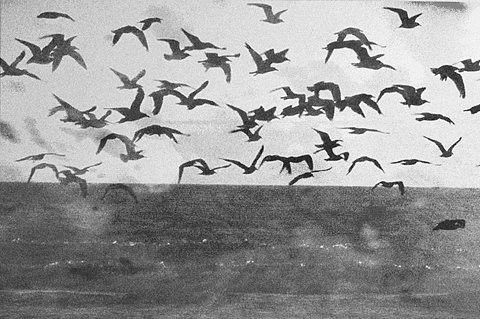 thingsanotherworld.tumblr.com/post/12313732053/