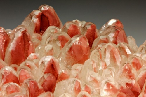 Calcite w/ Hematite HOLY FUCK. adult photos