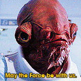 anaranjosas:  May the Force be with you 