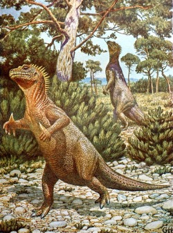 fuckyeahdinoart:  Iguanodon by Gerhard Heilmann  Foreground Iguanodon: *like the Fonz* &lsquo;Eyyyyy