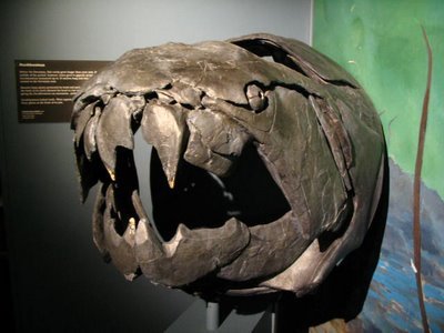 Ah Dunkleosteus - because why have teeth, when your entire skull could be made of massive armoured m