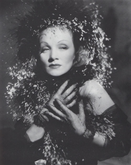 wehadfacesthen:Marlene Dietrich, 1940, in a publicity shot for Seven Sinners by John Engsteadvia spe