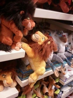 fuckyeahtangled:  sofapizza:  truelovewaits-xo:  RAFIKI DONT JUST SIT THERE LOOKIN SMUG AS HELL, DO SOMETHING !!!!!!  he’s gonna be trampled by all those timons!!   