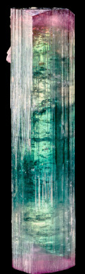 scipsy:  Elbaite (via Muséum national d’histoire naturelle) 