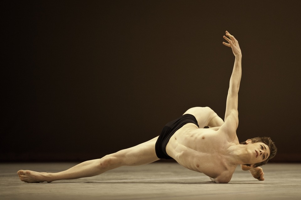 girl-in-a-tutu:  rose—adagio:  tsarinaa:  AAAAAHHHHH  can’t get over this picture
