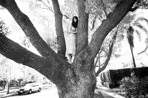 laurataylor:  Sheila climbs a tree, 2010 