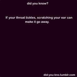 fuckyesnicole:  did-you-kno:  When the nerves in the ear are stimulated, it creates a reflex in the throat that can cause a muscle spasm, stopping the itch.  that would have helped last week.  Well you were clicking to me LMFAO