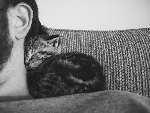 Can I hide here today please?