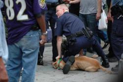 faggotspice:  sabrinanator:  manuel733:  i-n-f-i-n-i-t-e-s-o-u-l-z:  The dog was named Parrot. This was taken moments before Parrot   was murdered by the cop. The cop drove his knee into the middle of   Parrot’s back while stretching Parrot’s forelegs