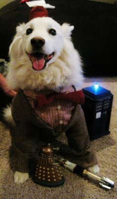 a-bagel:  Doctor Who Eleven Costume for my