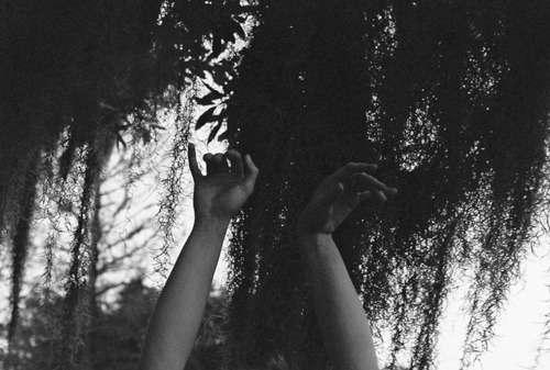 Tumblr: Image
