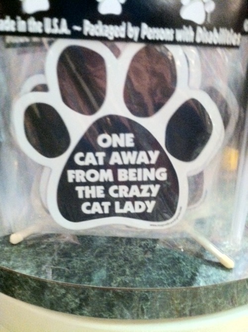 crazy-cat-ladies:  While in Charlottesville, VA, I found a store called The Cat House and so I took pictures! The pics above and below are from the store!     