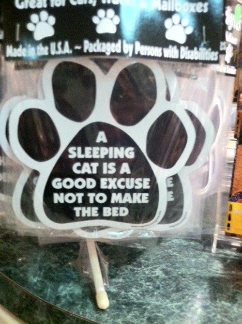 crazy-cat-ladies:  While in Charlottesville, VA, I found a store called The Cat House and so I took pictures! The pics above and below are from the store!     