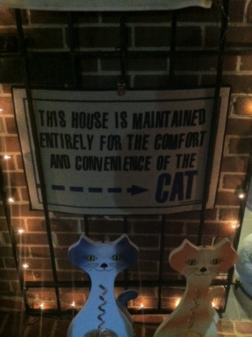 crazy-cat-ladies:  While in Charlottesville, VA, I found a store called The Cat House and so I took pictures! The pics above and below are from the store!     