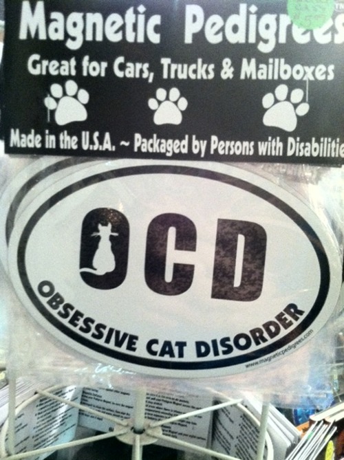 crazy-cat-ladies:  While in Charlottesville, VA, I found a store called The Cat House and so I took pictures! The pics above and below are from the store!     