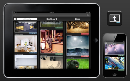 imgTumble for iPhone and iPod Touch.