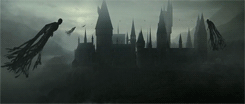 My Life Potter