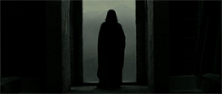 My Life Potter