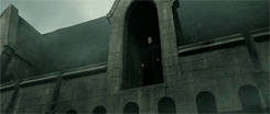 My Life Potter