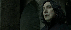 My Life Potter