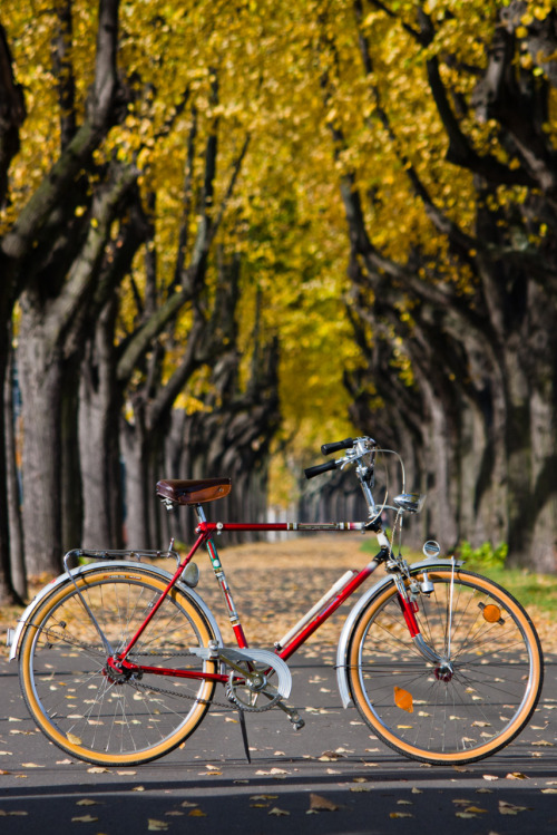 pedalfar: beside the Rhine (via Flowizm)