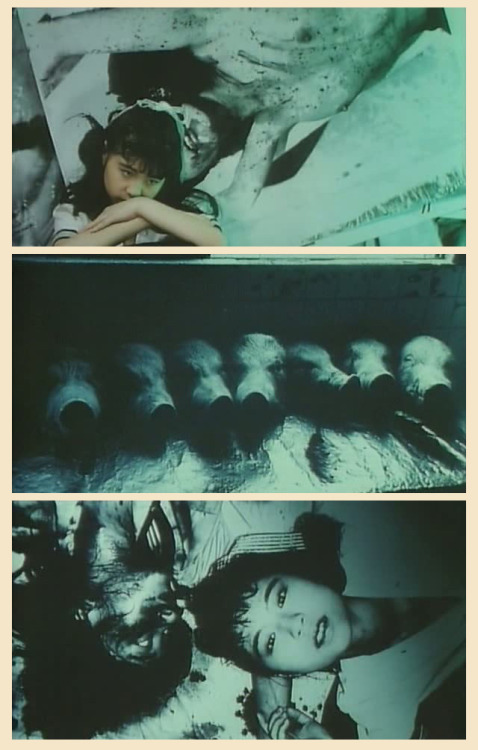albinohole:I LOVE 佐藤壽保