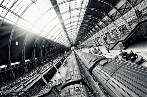 Sex black-and-white:  Paddington (by martinturner) pictures