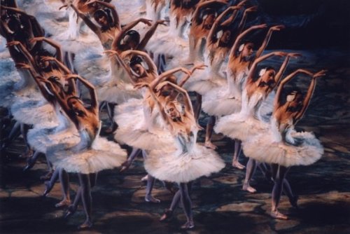 Porn photo masterpiecesofhumanity:  Swan Lake (American