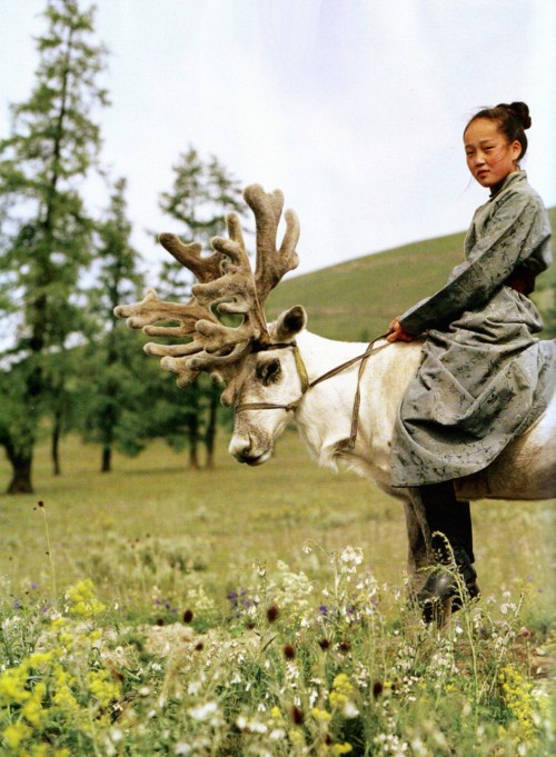 aaron-symons:Photograph by Tim Walker for Vogue December 2011In northern Mongolia, reindeer territor
