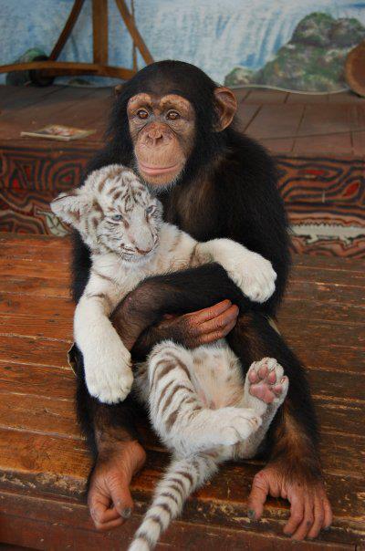 the-absolute-best-photography:  You have to follow this blog, it’s really awesome!