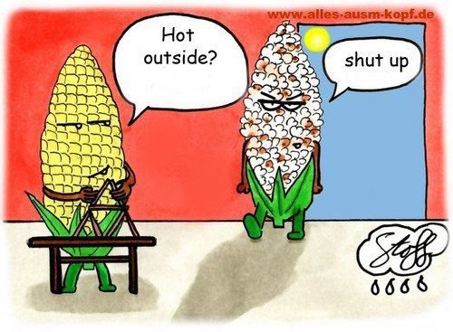 a-m-85:  Corn + Sun = pop Corn :D 