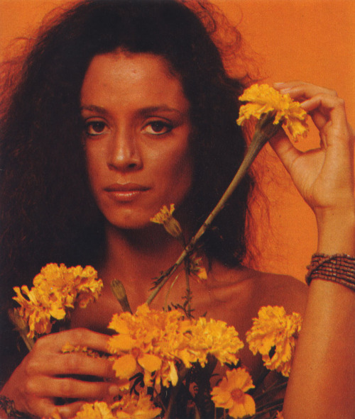 vintagemadeinbrazil:Sônia Braga, 1975