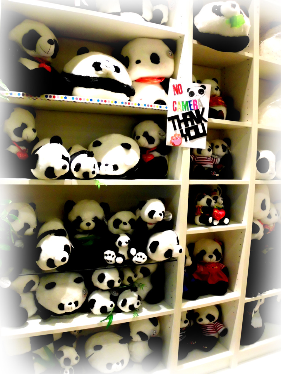 konzi-blo:  what reminds me… there was a Panda shop in London *___* 