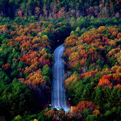 fuckyeahunitedstates:  Stone Mountain, Georgia