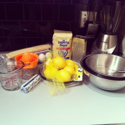 Ready to make lemon meringue pie.  (Taken