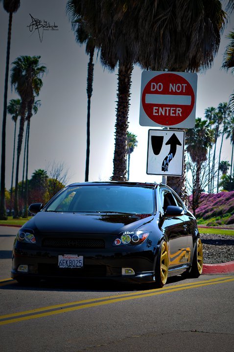 sciontist