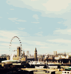 nickthejam:  Such an elegant scene. 
