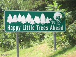 lovesarahkate:  such happy, happy trees. 