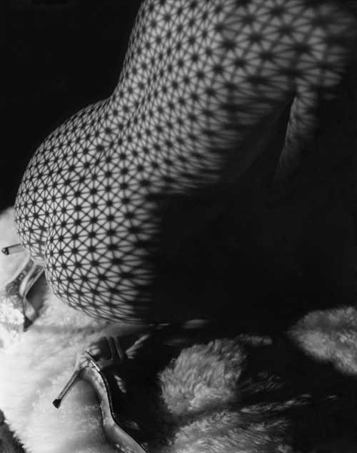 wadeschields:   © Wade Schields 