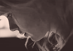 oieusinto:   You gave me all your love, and all I gave you was goodbye. 
