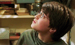 My Life Potter
